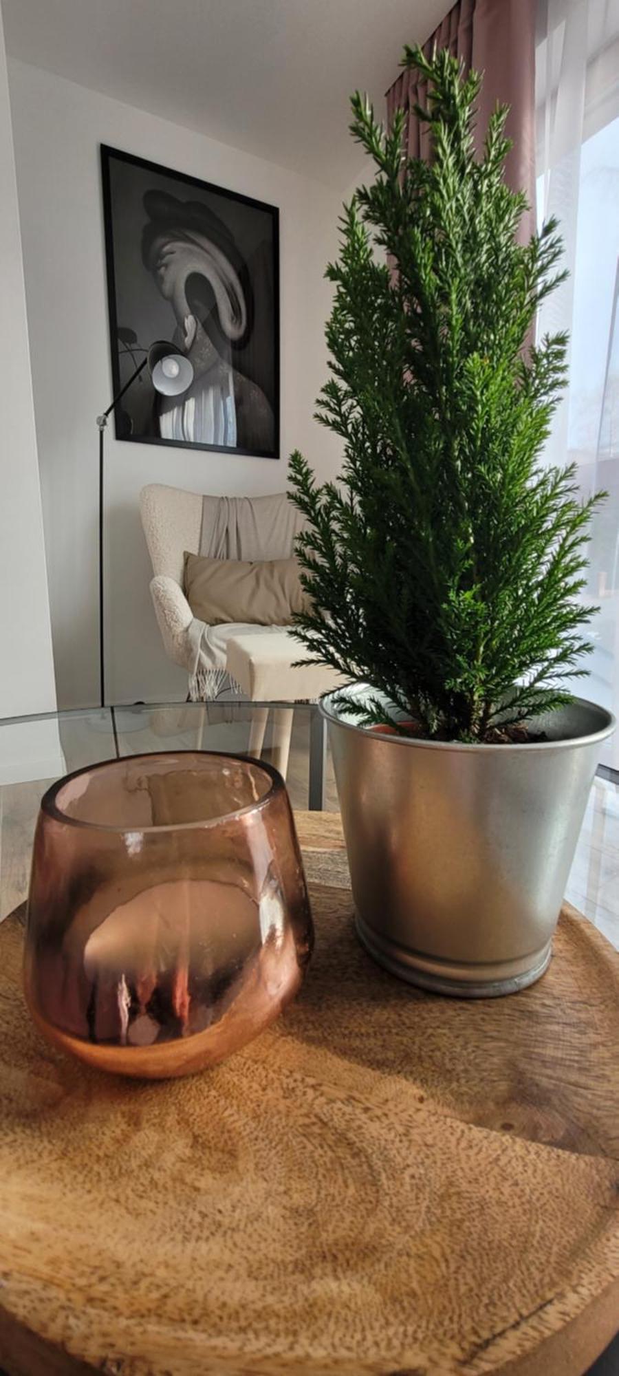 Apartment Wrzosowy Zakatek Karpacz